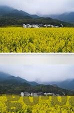 糖心app苹果版-探寻糖心在苹果世界的甜蜜印记——深度体验与用户心声
